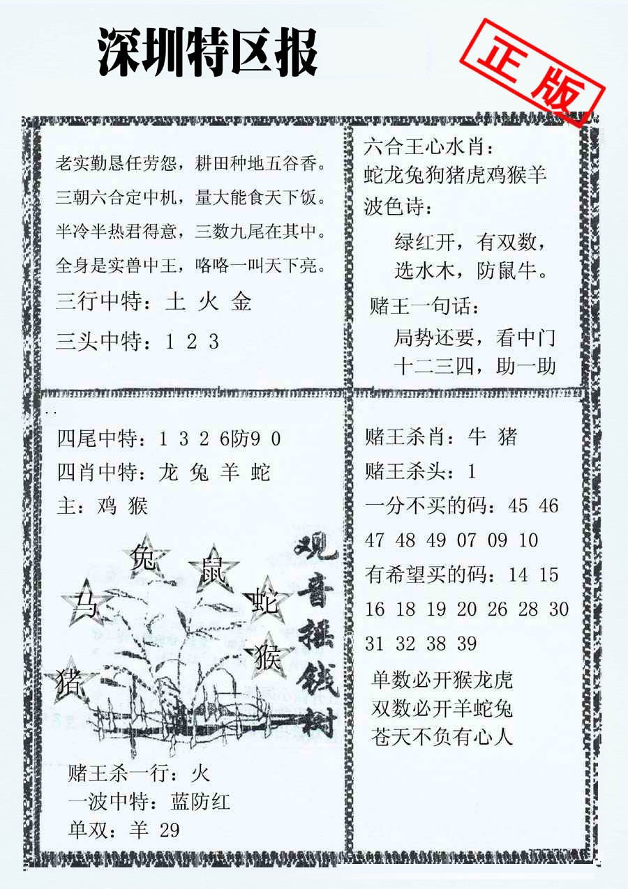 深圳特区报
